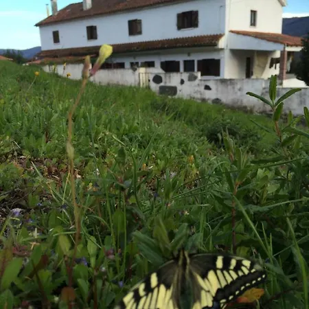 Refugio Da Montanha Amazing Views Gois Region Holiday home