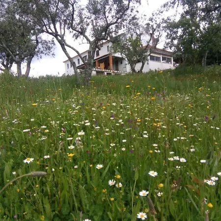 Refugio Da Montanha Amazing Views Gois Region Coimbra